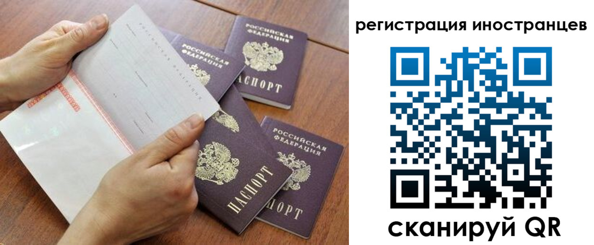 прописка поиск в Красном Сулине